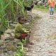 26- Petit enfant sur le bord du chemin 